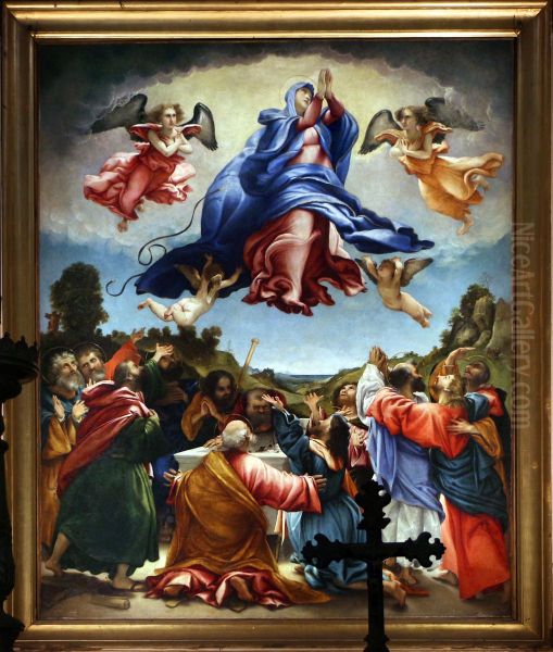 Assunzione della Vergine (Lotto Celana) - view 1