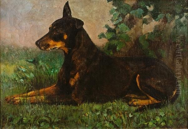 A Manchester Terrier - view 1
