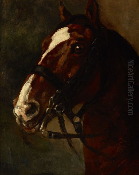 Bay Horse's Head - view 1