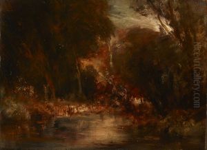 Forest Landscape