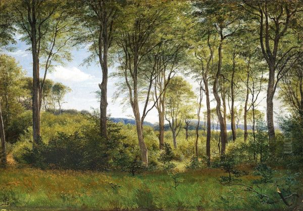 The woods at Delhoved near Lake Skarrit. - view 1