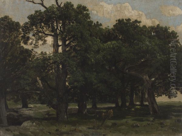 Pines - view 1