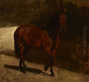 Study of a Chestnut Horse Study of a Chestnut Horse
