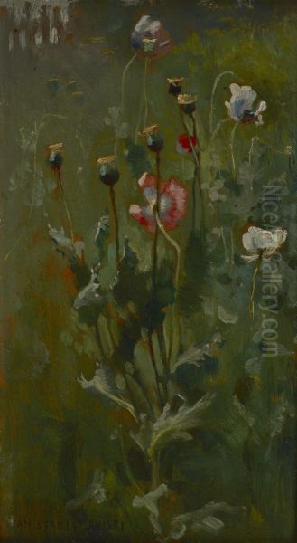 Poppies in Bloom - view 1