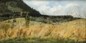 Corn-Field