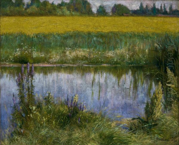 Field of Lupin - view 1