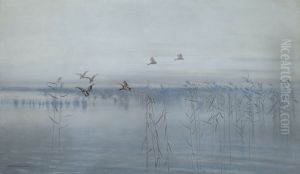 Ducks over Swamps by Stanislaw Maslowski