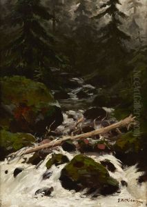 Stream in the Forest by Stanislaw Witkiewicz