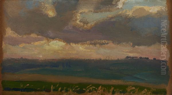 Fields at Proszowice - view 1