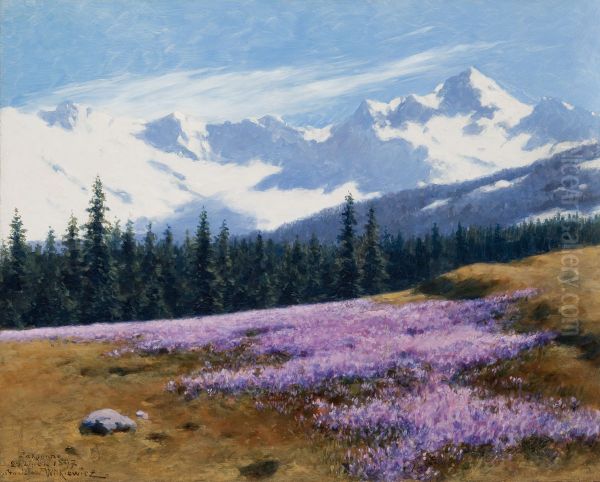 Crocuses with Snowy Mountains Behind - view 1