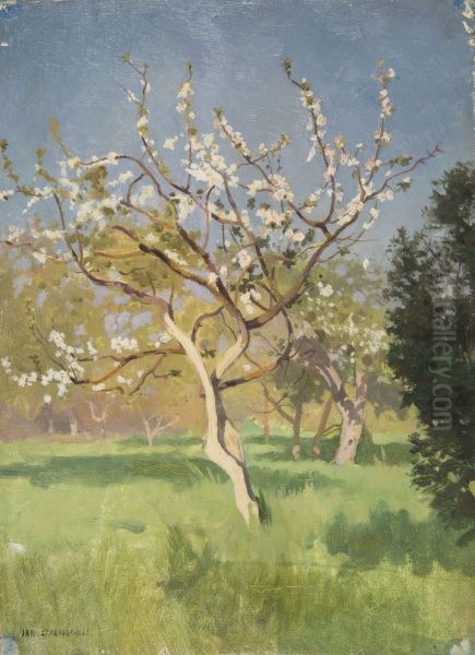 Apple-Tree in Blossom - view 1