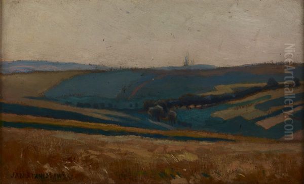 Field-Patches - view 1