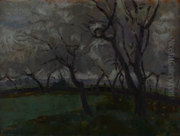 Landscape - view 1