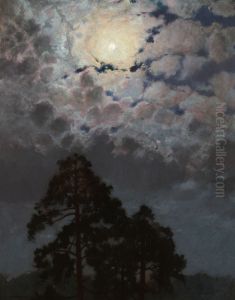Pines by Stefan Popowski