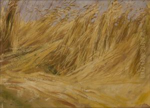 Corn Field (Study) Corn Field (Study)