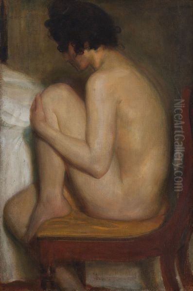 The Model - view 1