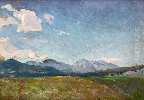 View towards Osobita (Zakopane) - view 1