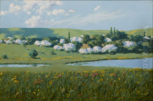 Spring Landscape with a Pond - view 1