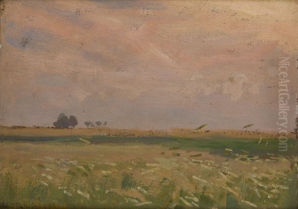 Fields near Bronowice - view 1