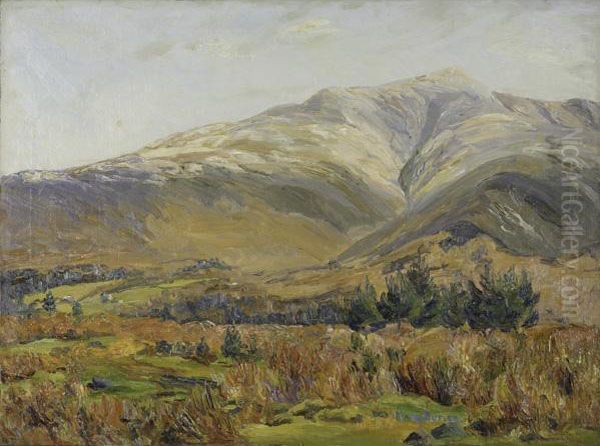 A Landscape - view 1