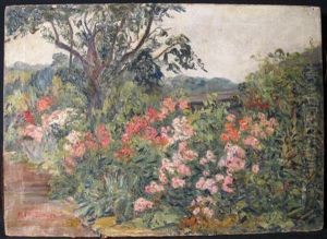 The Pink Border