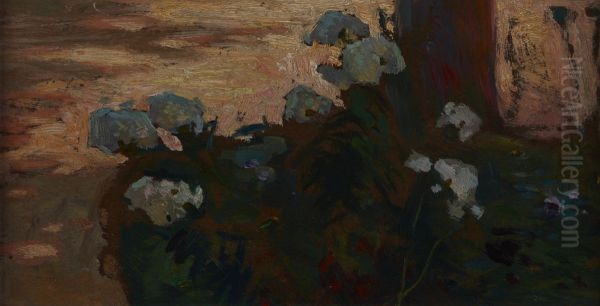 White Phloxes - view 1