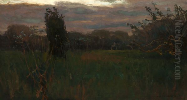 Evening - view 1
