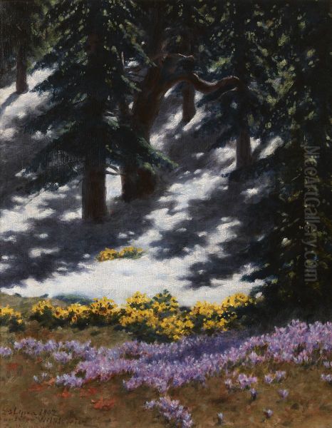 Crocuses and Marsh-Marigolds - view 1