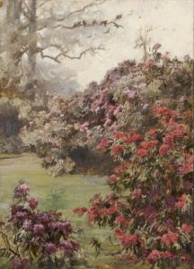Rhododendrons At Kilmurry by Mildred Anne Butler