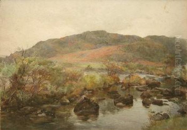 A Rocky Stream - view 1