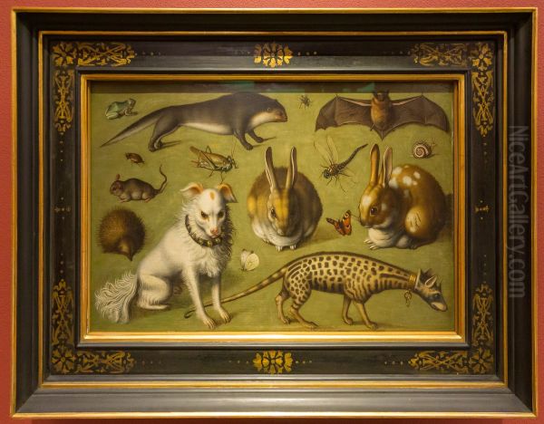 Tierbild mit Ginsterkatze - view 1
