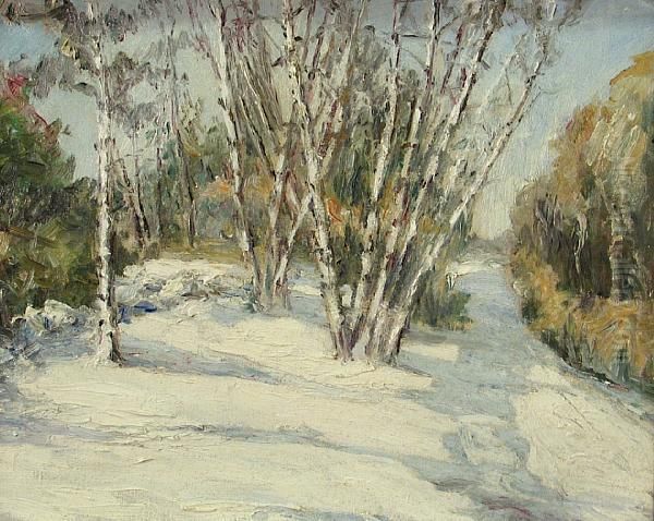 Birch Trees In A Snowy Landscape - view 1