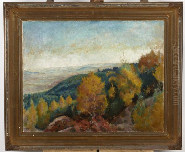 Herbstlandschaft - Umgebung von Kalwaria Zebrzydowska - view 1