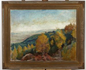 Herbstlandschaft - Umgebung von Kalwaria Zebrzydowska by Wojciech Weiss