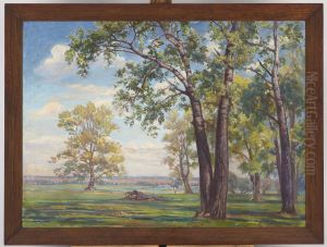 Forest Landscape