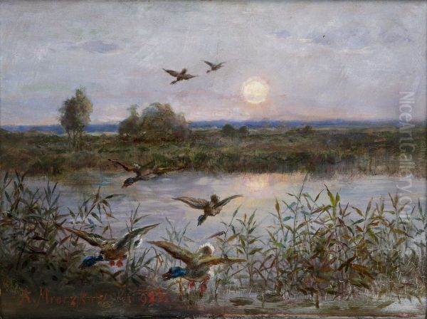 Ducks over Marshes - view 1