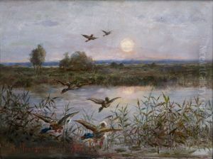 Ducks over Marshes by Aleksander Mroczkowski