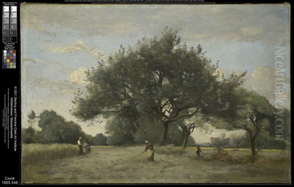 Apple Trees in a Field - view 1