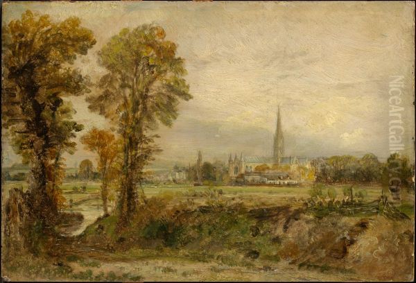 Distant View of Salisbury Cathedral - view 1