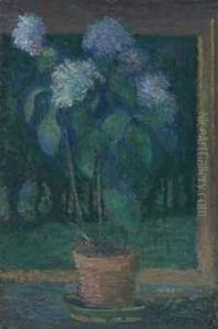 Hydrangeas