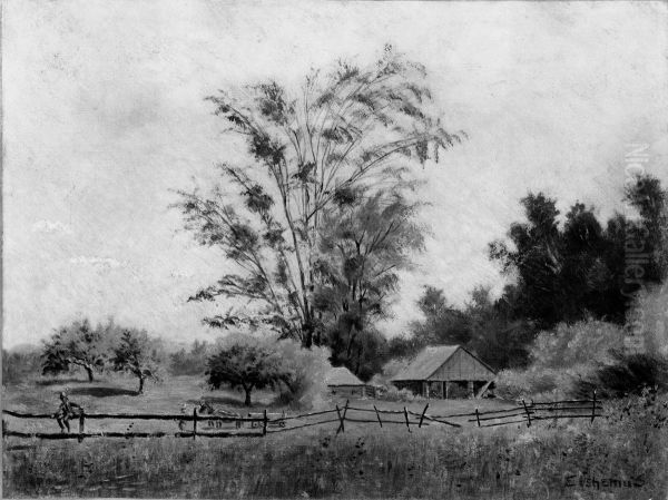 American Farm - view 1