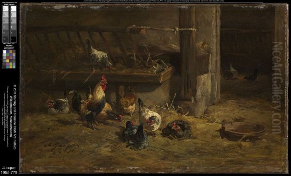 Poultry - view 1