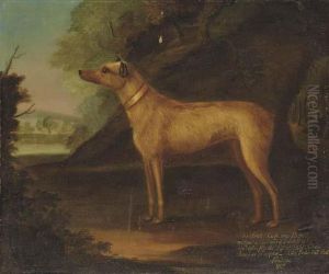 Snap, A Terrier Bitch In A Landscape