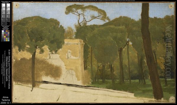 Pine Trees in a Roman Park - view 1