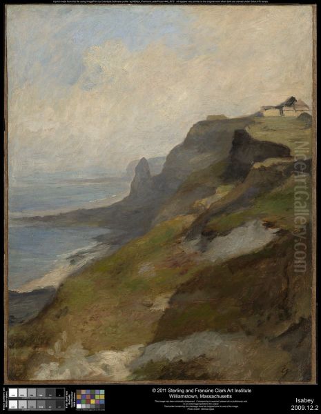 Cliffs of Normandy - view 1