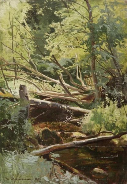 Stream in the forest - view 1