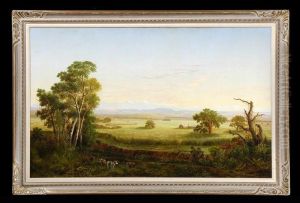 Panoramic Landscape Panoramic Landscape