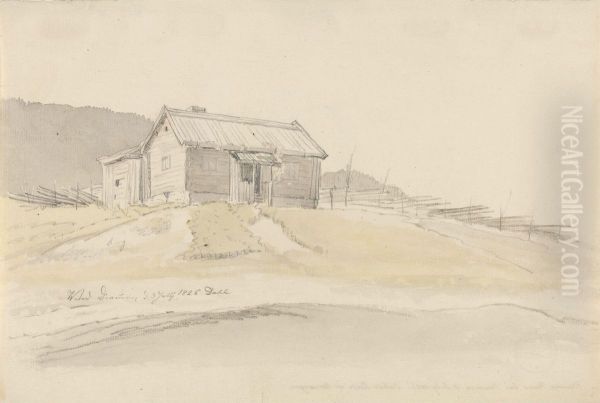 Cotter's Farm near Drammen - view 1