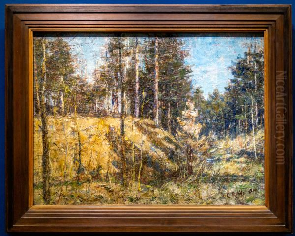 Vorfruhlingslandschaft - view 1