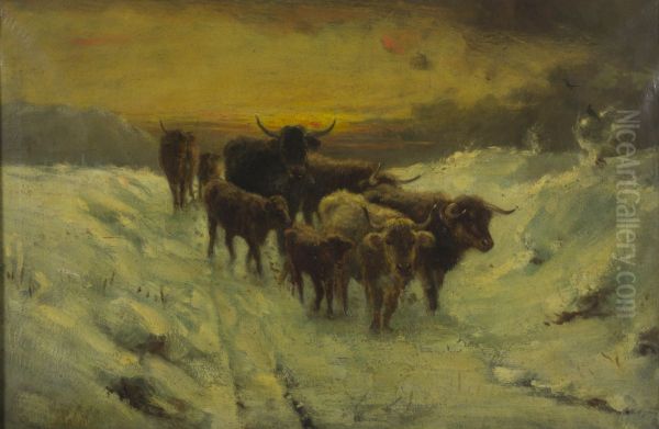 Winter in the Highlands. - view 1